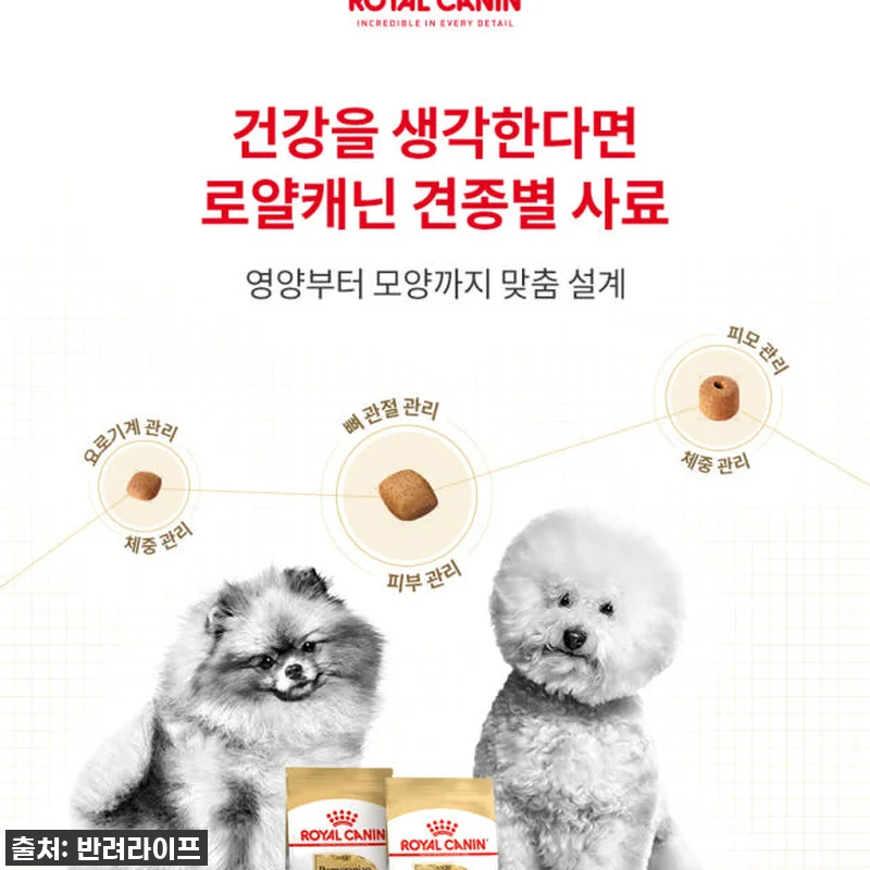 찐후기: 까탈스러운 우리 행복이가 밥 관련 이미지 2