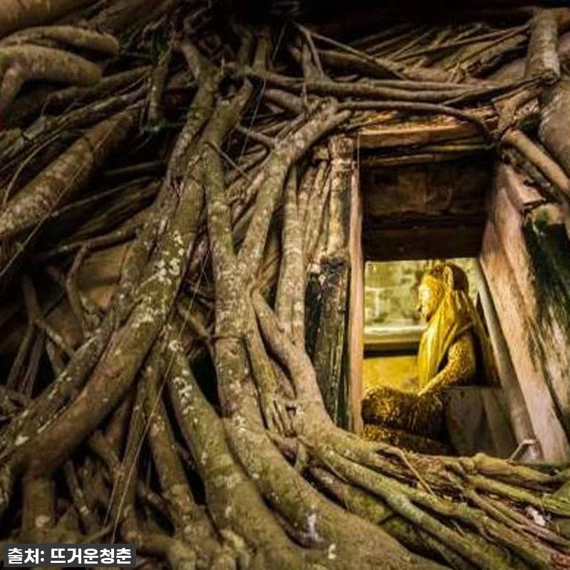 인생 여행 확정! 79% 역대급 할인 관련 이미지 2