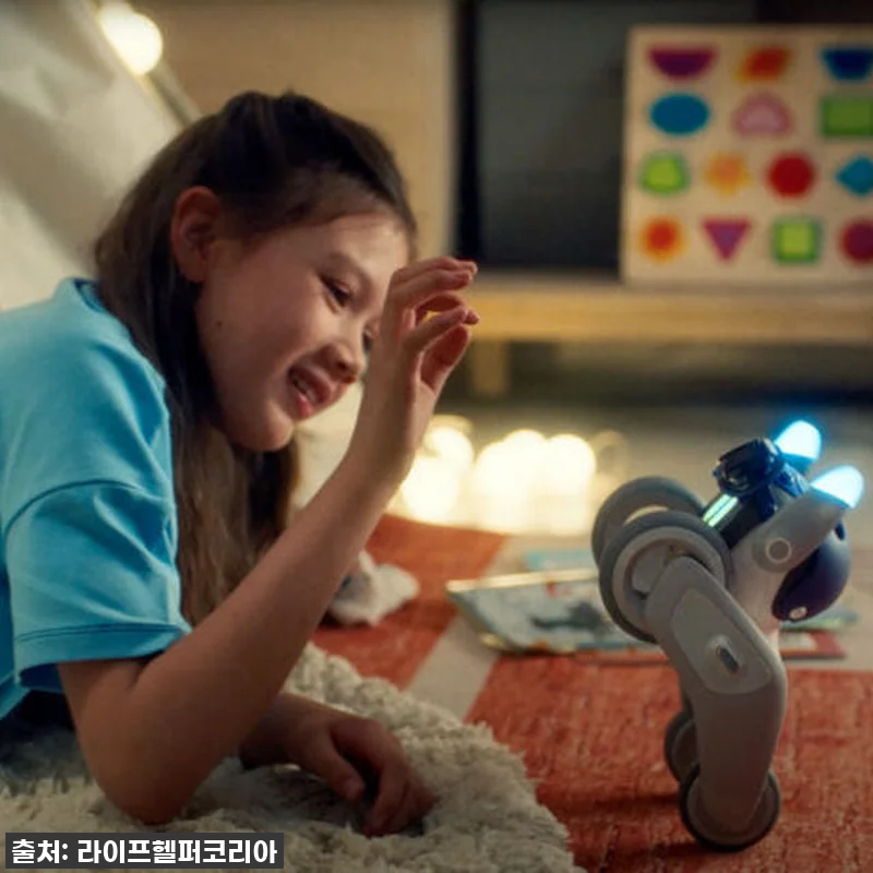 찐후기! 품절대란 예상, 우리 가족 관련 이미지 2