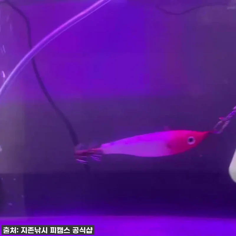 낚시 초보 딱지 뗀 언니들의 필수템! 관련 이미지 2