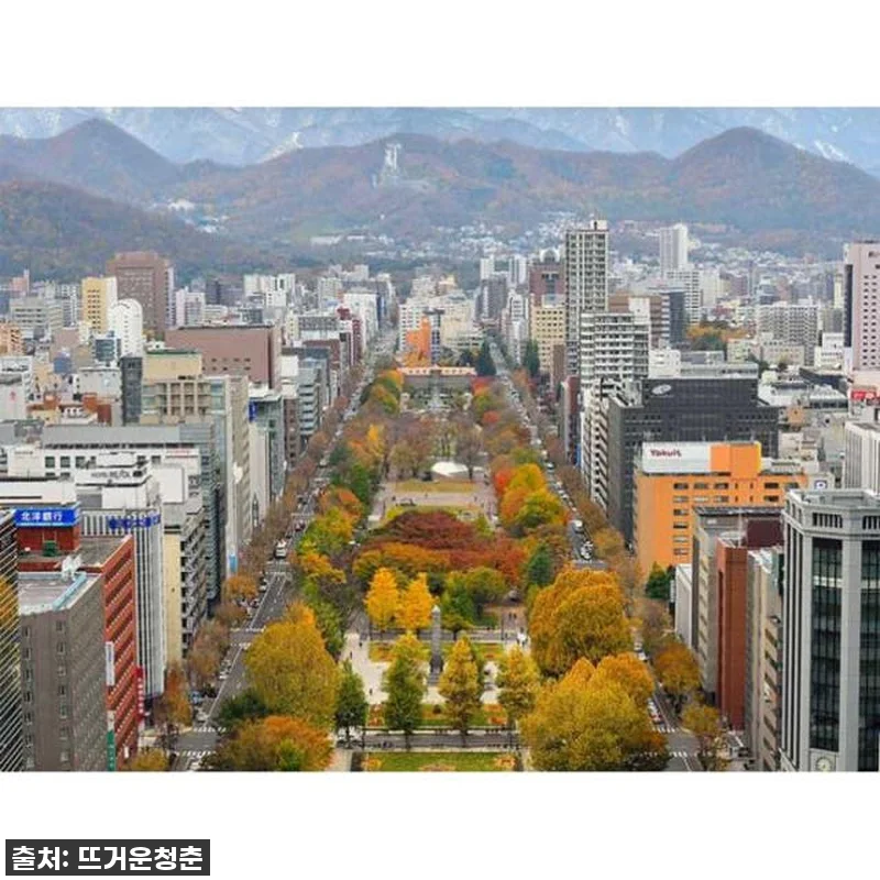 **찐후기! 삿포로 여행 필수템 발견 관련 이미지 3