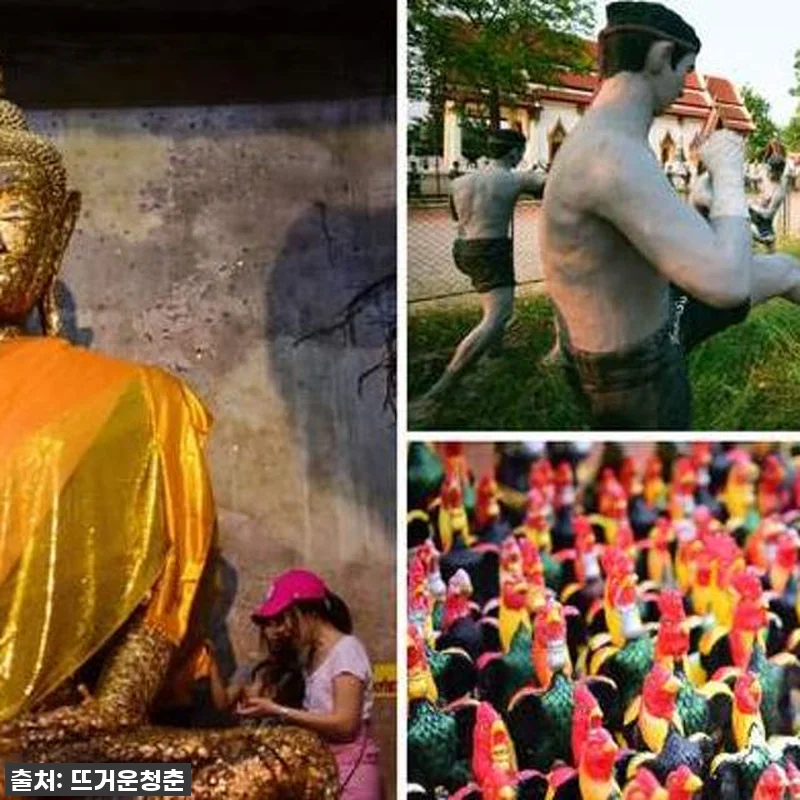 인생 여행 확정! 79% 역대급 할인 관련 이미지 3