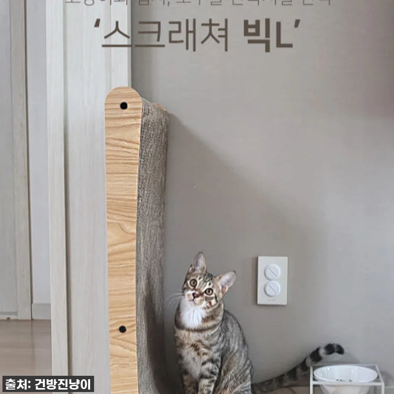 가구 킬러 냥이와의 평화 공존! 루어 관련 이미지 4