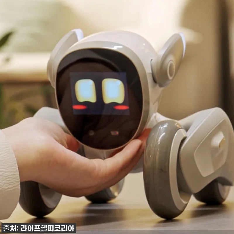 찐후기! 품절대란 예상, 우리 가족 관련 이미지 4