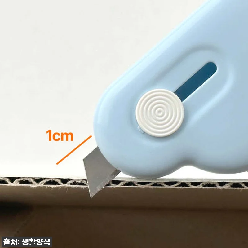 이슈템 떴다! 현관 필수템 '자석 구 관련 이미지 4