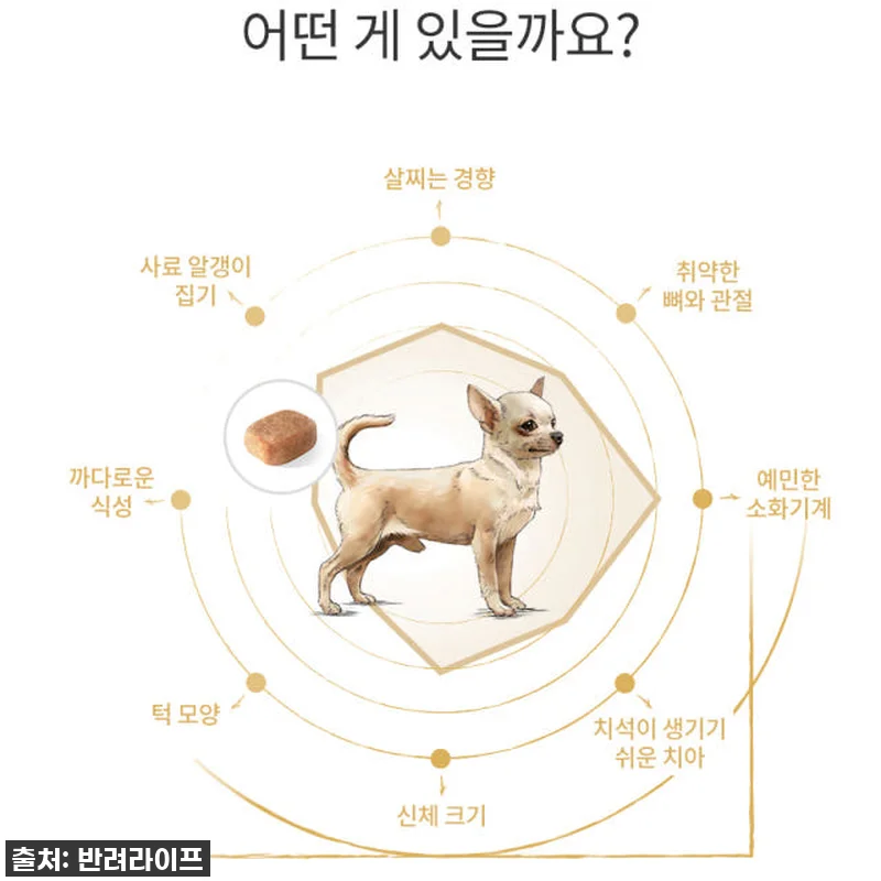 찐후기: 까탈스러운 우리 행복이가 밥 관련 이미지 6