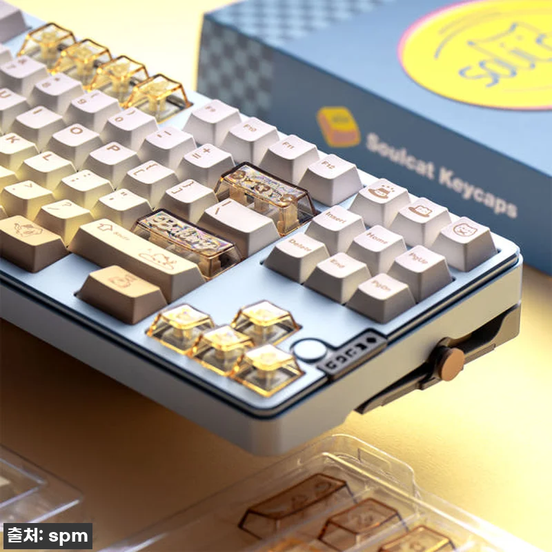 고민은 배송만 늦출 뿐! 쏘울캣 고양 관련 이미지 6