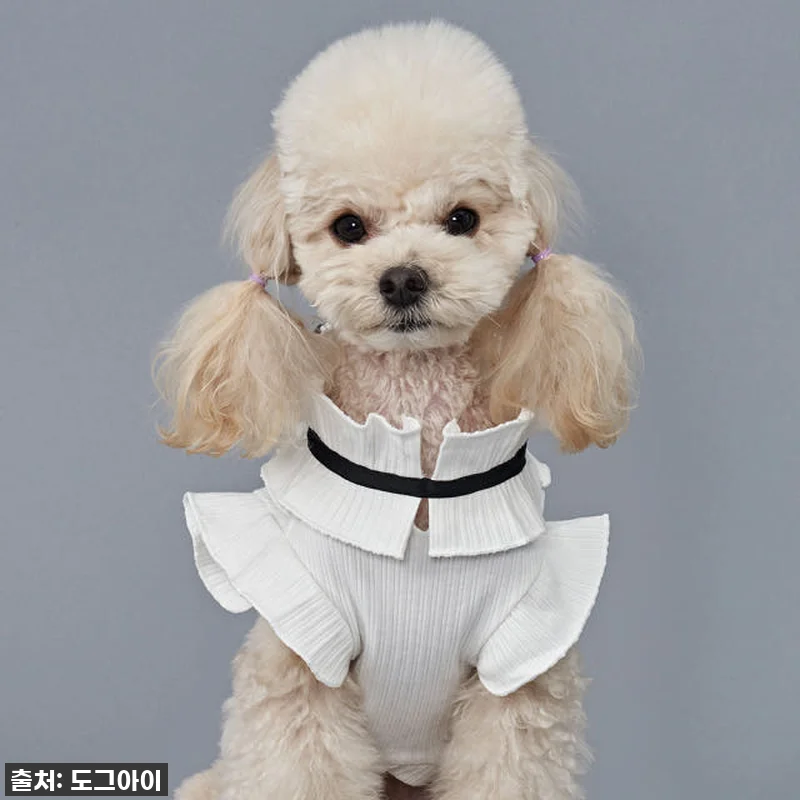 인생템 등극! 강아지옷 네츄럴코튼조끼 관련 이미지 7