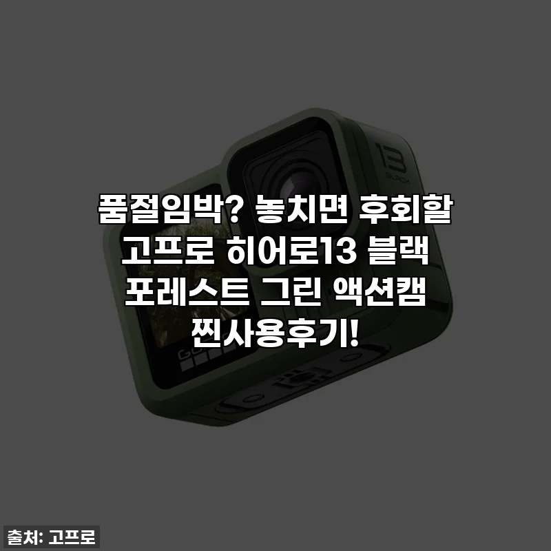 품절임박? 놓치면 후회할 고프로 히어로13 블랙 포레스트 그린 액션캠 찐사용후기!