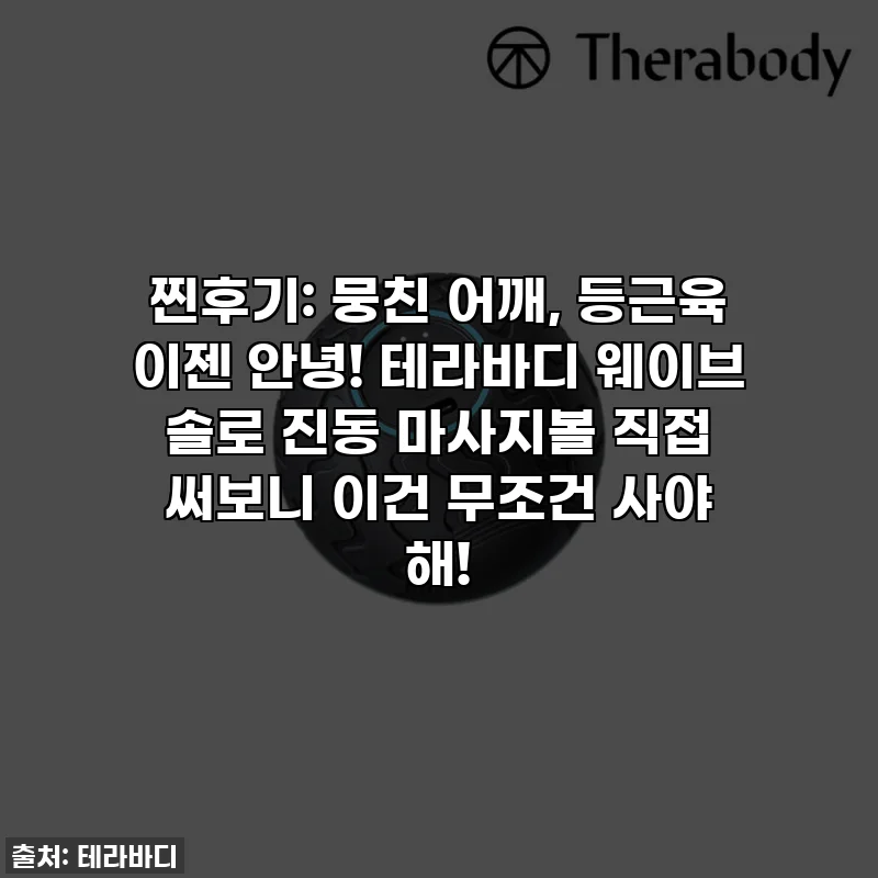 찐후기: 뭉친 어깨, 등근육 이젠 안녕! 테라바디 웨이브 솔로 진동 마사지볼 직접 써보니 이건 무조건 사야 해!