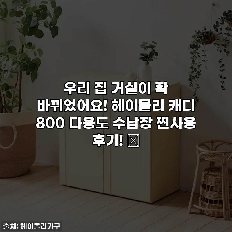 우리 집 거실이 확 바뀌었어요! 헤이몰리 캐디 800 다용도 수납장 찐사용 후기! ✨