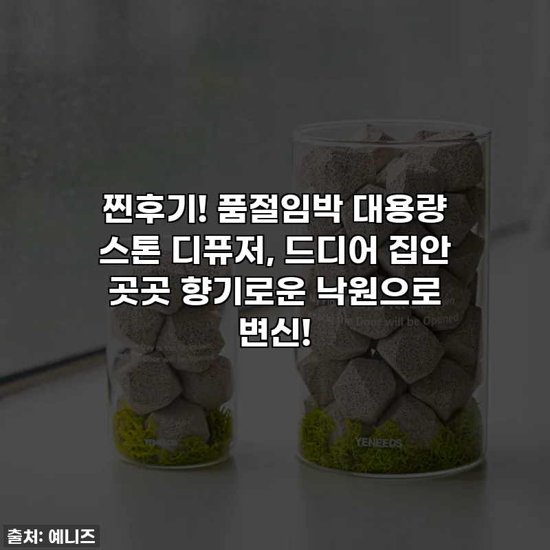 찐후기! 품절임박 대용량 스톤 디퓨저, 드디어 집안 곳곳 향기로운 낙원으로 변신!