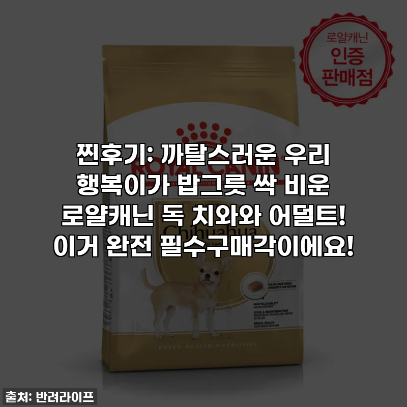 찐후기: 까탈스러운 우리 행복이가 밥그릇 싹 비운 로얄캐닌 독 치와와 어덜트! 이거 완전 필수구매각이에요!