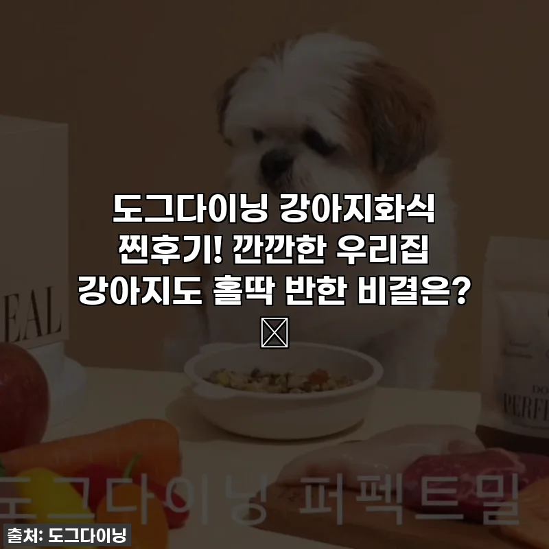 도그다이닝 강아지화식 찐후기! 깐깐한 우리집 강아지도 홀딱 반한 비결은? 💖