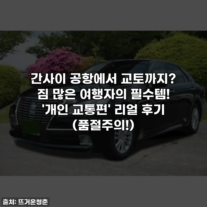 간사이 공항에서 교토까지? 짐 많은 여행자의 필수템! '개인 교통편' 리얼 후기 (품절주의!)