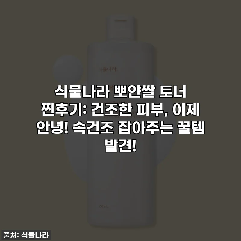 식물나라 뽀얀쌀 토너 찐후기: 건조한 피부, 이제 안녕! 속건조 잡아주는 꿀템 발견!