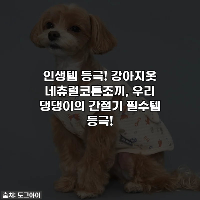 인생템 등극! 강아지옷 네츄럴코튼조끼, 우리 댕댕이의 간절기 필수템 등극!