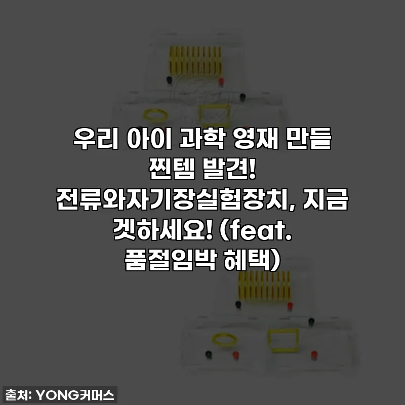 우리 아이 과학 영재 만들 찐템 발견! 전류와자기장실험장치, 지금 겟하세요! (feat. 품절임박 혜택)
