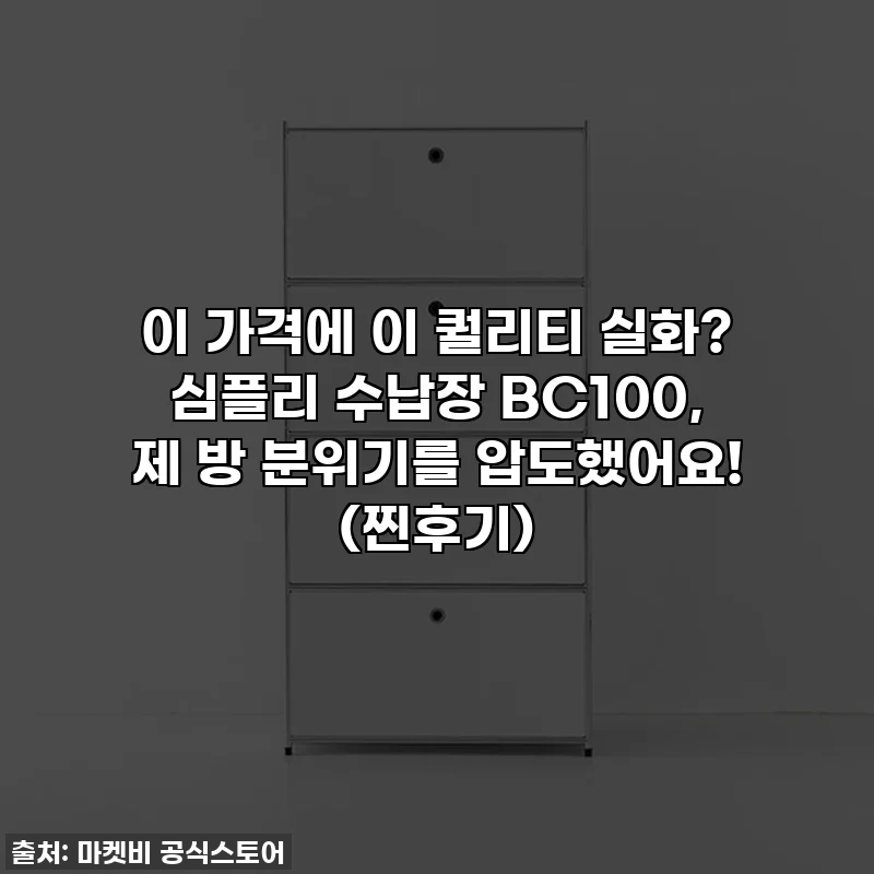이 가격에 이 퀄리티 실화? 심플리 수납장 BC100, 제 방 분위기를 압도했어요! (찐후기)