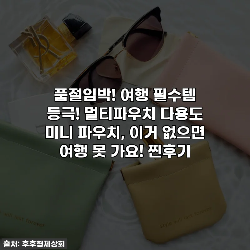 품절임박! 여행 필수템 등극! 멀티파우치 다용도 미니 파우치, 이거 없으면 여행 못 가요! 찐후기