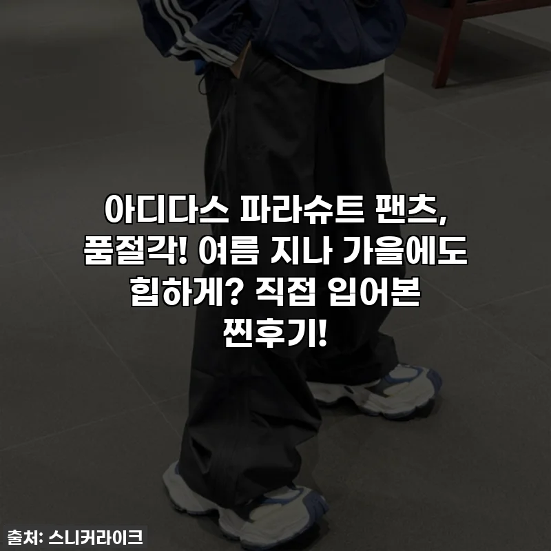아디다스 파라슈트 팬츠, 품절각! 여름 지나 가을에도 힙하게? 직접 입어본 찐후기!