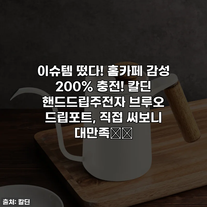 이슈템 떴다! 홈카페 감성 200% 충전! 칼딘 핸드드립주전자 브루오 드립포트, 직접 써보니 대만족❤️