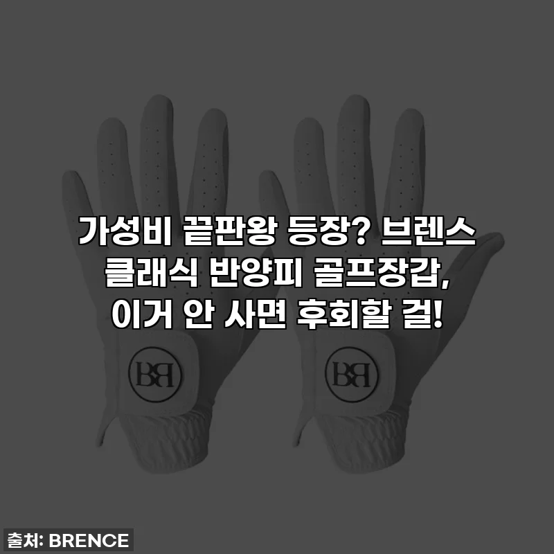 가성비 끝판왕 등장? 브렌스 클래식 반양피 골프장갑, 이거 안 사면 후회할 걸!