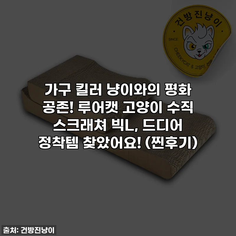 가구 킬러 냥이와의 평화 공존! 루어캣 고양이 수직 스크래쳐 빅L, 드디어 정착템 찾았어요! (찐후기)