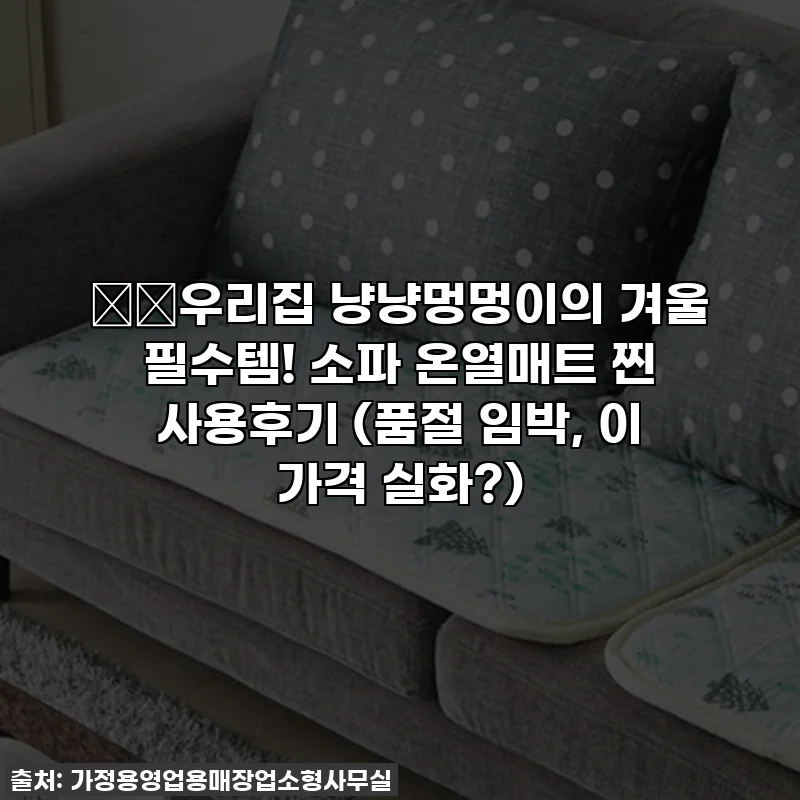 ❄️우리집 냥냥멍멍이의 겨울 필수템! 소파 온열매트 찐 사용후기 (품절 임박, 이 가격 실화?)