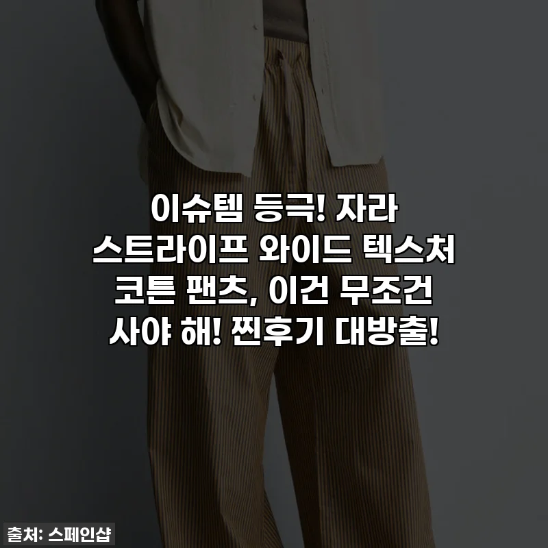 이슈템 등극! 자라 스트라이프 와이드 텍스처 코튼 팬츠, 이건 무조건 사야 해! 찐후기 대방출!