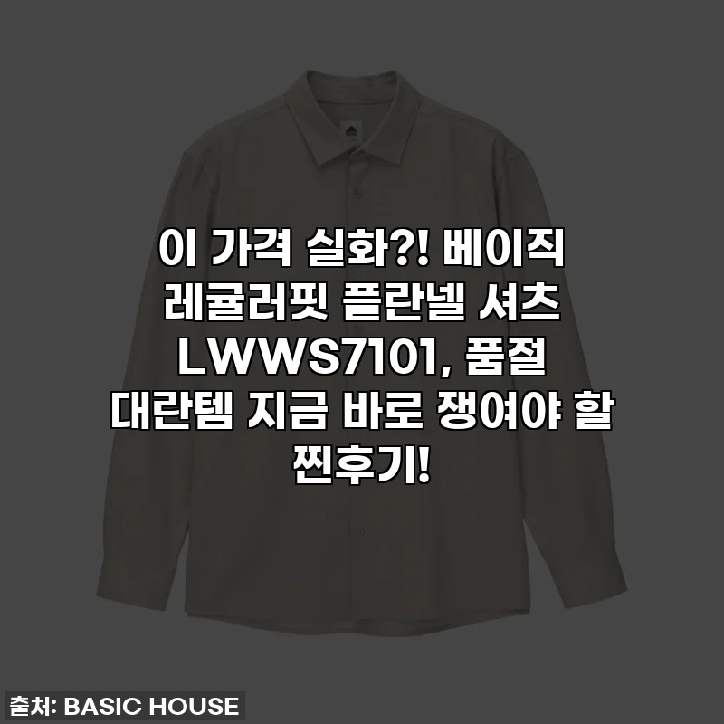 이 가격 실화?! 베이직 레귤러핏 플란넬 셔츠 LWWS7101, 품절 대란템 지금 바로 쟁여야 할 찐후기!