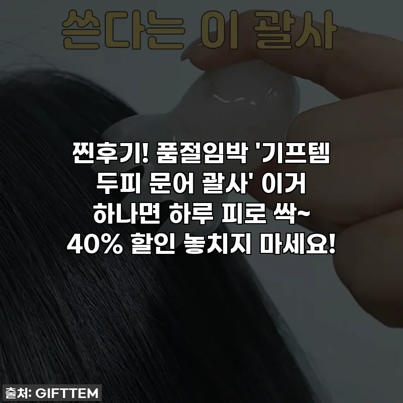 찐후기! 품절임박 '기프템 두피 문어 괄사' 이거 하나면 하루 피로 싹~ 40% 할인 놓치지 마세요!