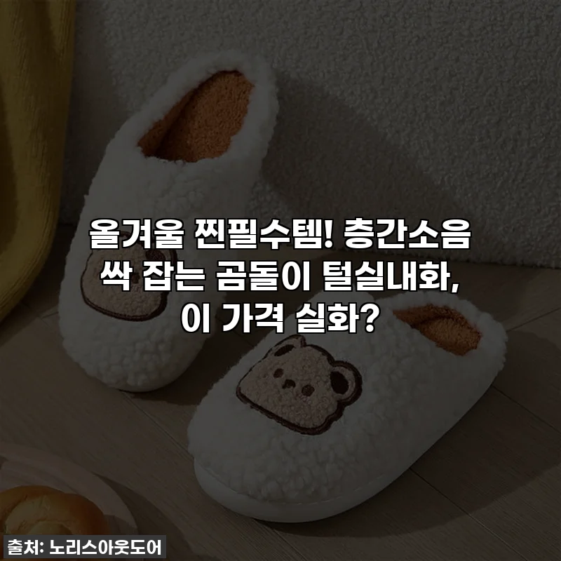 올겨울 찐필수템! 층간소음 싹 잡는 곰돌이 털실내화, 이 가격 실화?