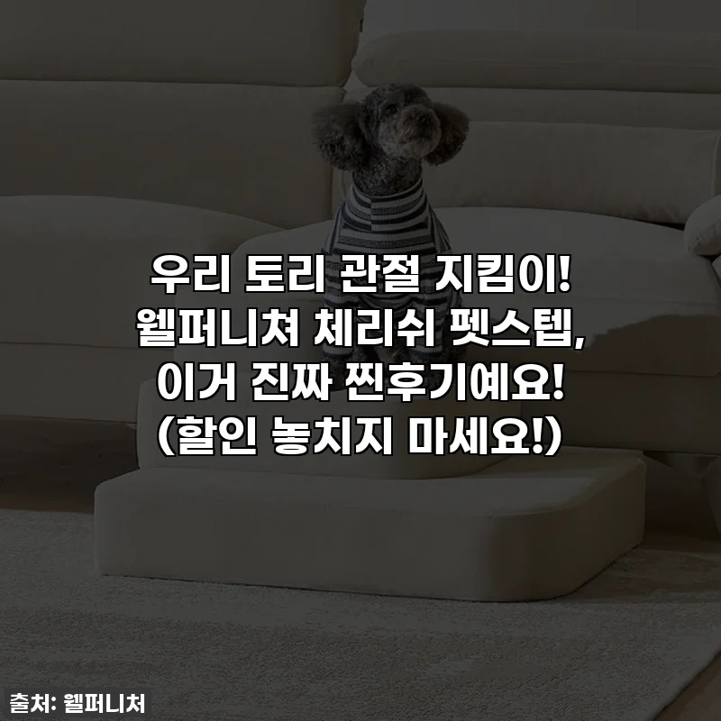 우리 토리 관절 지킴이! 웰퍼니쳐 체리쉬 펫스텝, 이거 진짜 찐후기예요! (할인 놓치지 마세요!)