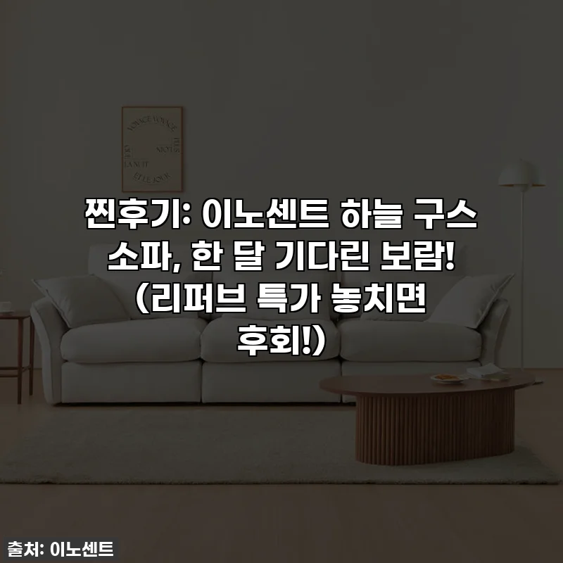 찐후기: 이노센트 하늘 구스 소파, 한 달 기다린 보람! (리퍼브 특가 놓치면 후회!)