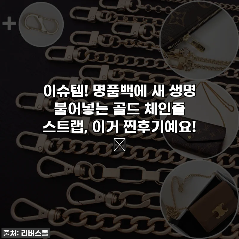 이슈템! 명품백에 새 생명 불어넣는 골드 체인줄 스트랩, 이거 찐후기예요! ✨