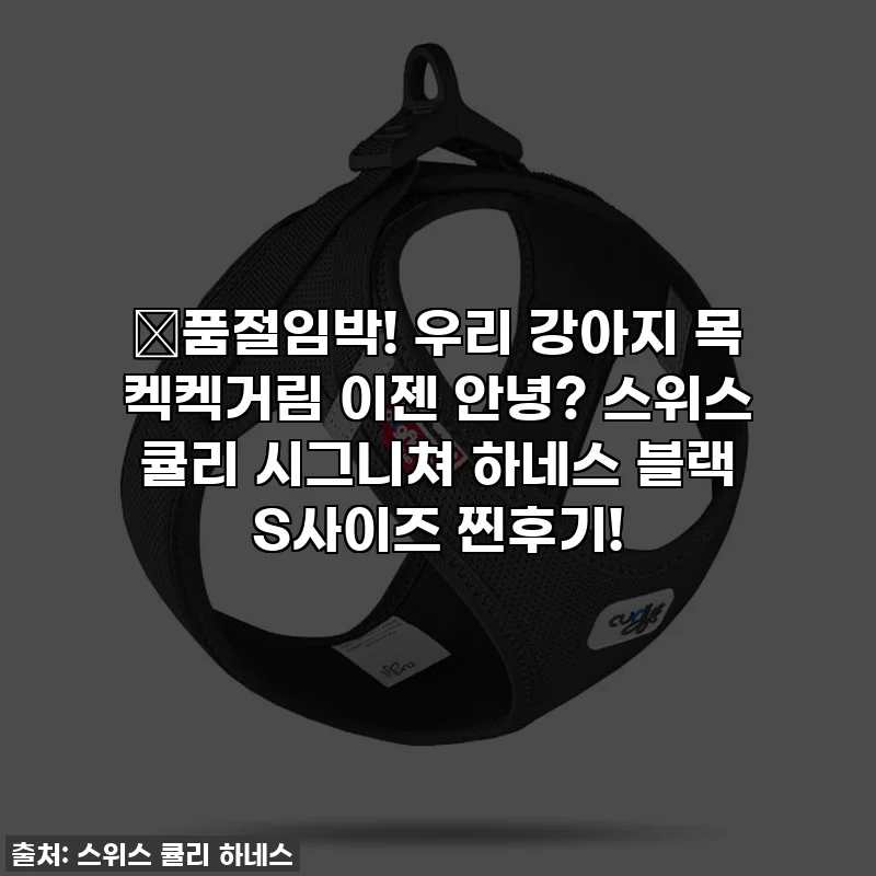 ✨품절임박! 우리 강아지 목 켁켁거림 이젠 안녕? 스위스 큘리 시그니쳐 하네스 블랙 S사이즈 찐후기!