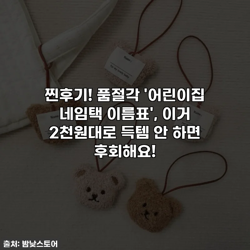 찐후기! 품절각 '어린이집 네임택 이름표', 이거 2천원대로 득템 안 하면 후회해요!