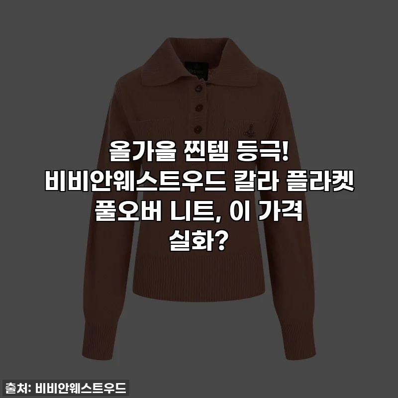 올가을 찐템 등극! 비비안웨스트우드 칼라 플라켓 풀오버 니트, 이 가격 실화?