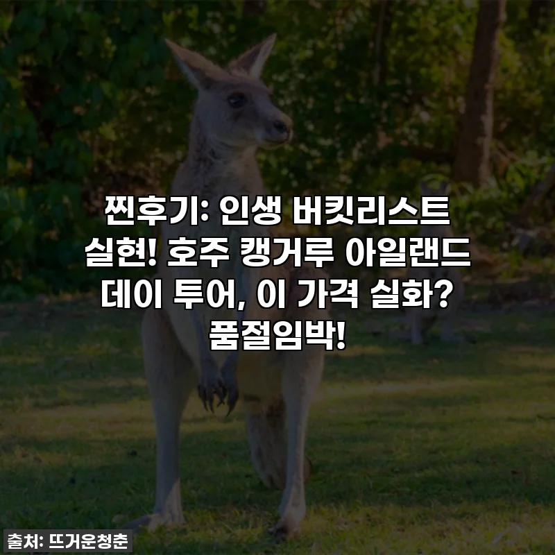 찐후기: 인생 버킷리스트 실현! 호주 캥거루 아일랜드 데이 투어, 이 가격 실화? 품절임박!