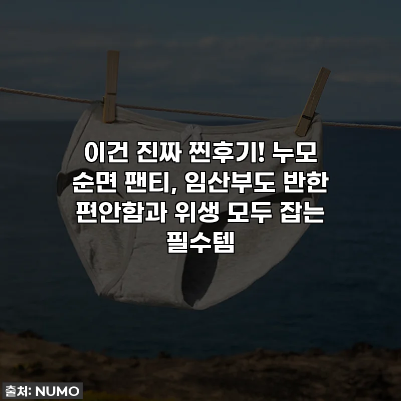 이건 진짜 찐후기! 누모 순면 팬티, 임산부도 반한 편안함과 위생 모두 잡는 필수템