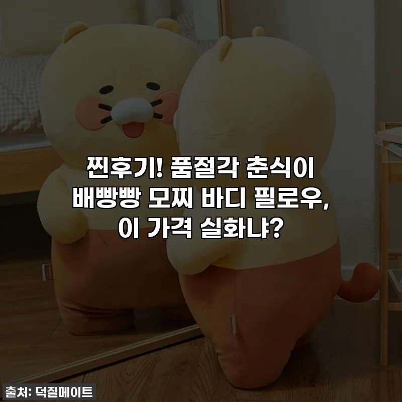 찐후기! 품절각 춘식이 배빵빵 모찌 바디 필로우, 이 가격 실화냐?
