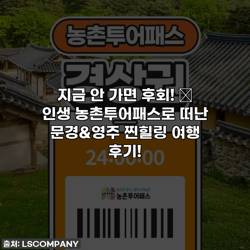 지금 안 가면 후회! ✨ 인생 농촌투어패스로 떠난 문경&영주 찐힐링 여행 후기!