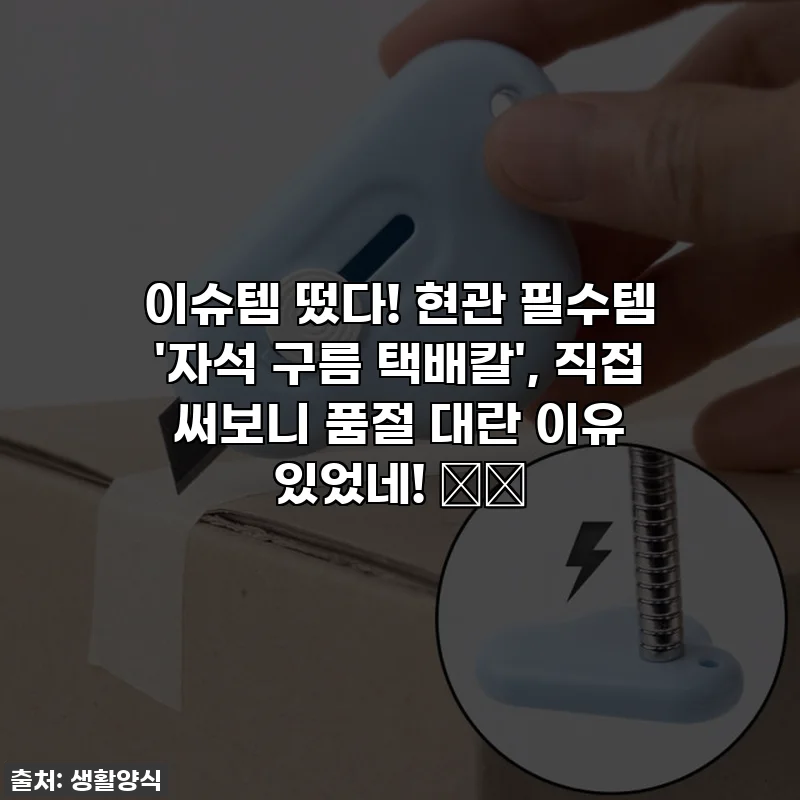 이슈템 떴다! 현관 필수템 '자석 구름 택배칼', 직접 써보니 품절 대란 이유 있었네! 📦✨