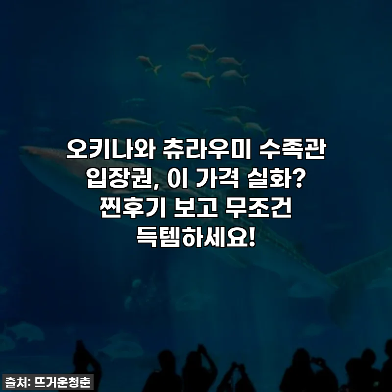 오키나와 츄라우미 수족관 입장권, 이 가격 실화? 찐후기 보고 무조건 득템하세요!
