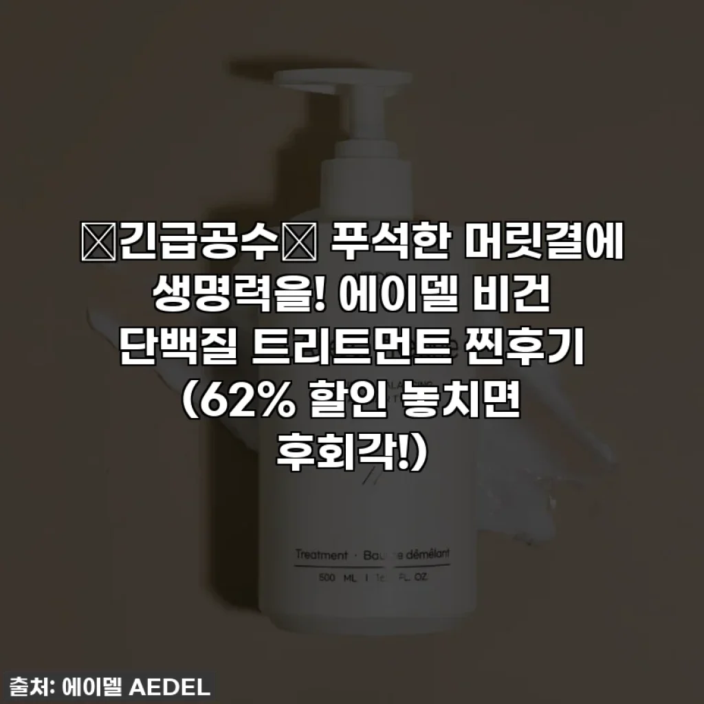🎁긴급공수🎁 푸석한 머릿결에 생명력을! 에이델 비건 단백질 트리트먼트 찐후기 (62% 할인 놓치면 후회각!)
