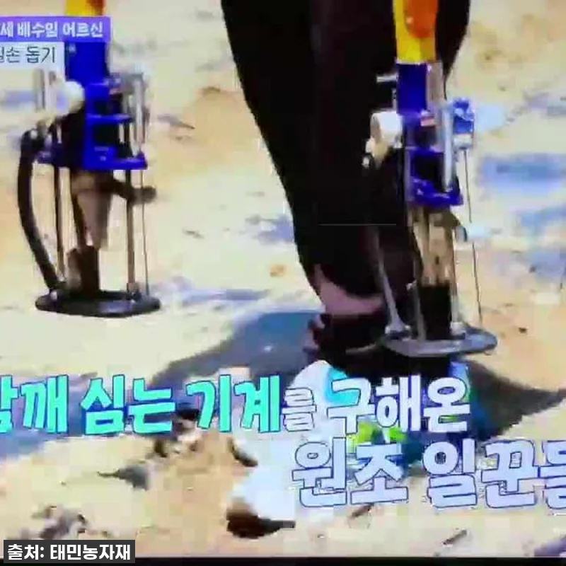 이건 진짜 찐후기! 텃밭 가꾸는 당신 관련 이미지 1