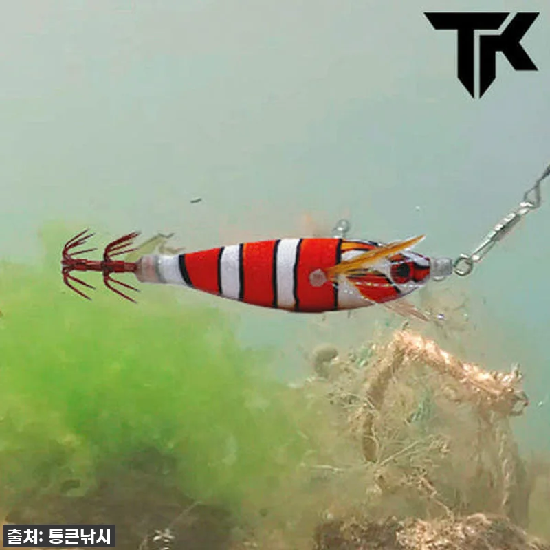갑오징어 낚시 이거 모르면 손해! 혼 관련 이미지 1