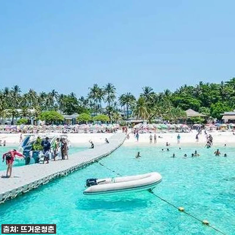 이거 실화?! 푸켓 산호섬 & 라차섬 관련 이미지 1