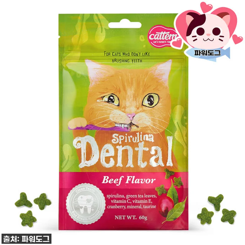 우리 냥이 구강 건강 지킴이! 캣템 관련 이미지 1